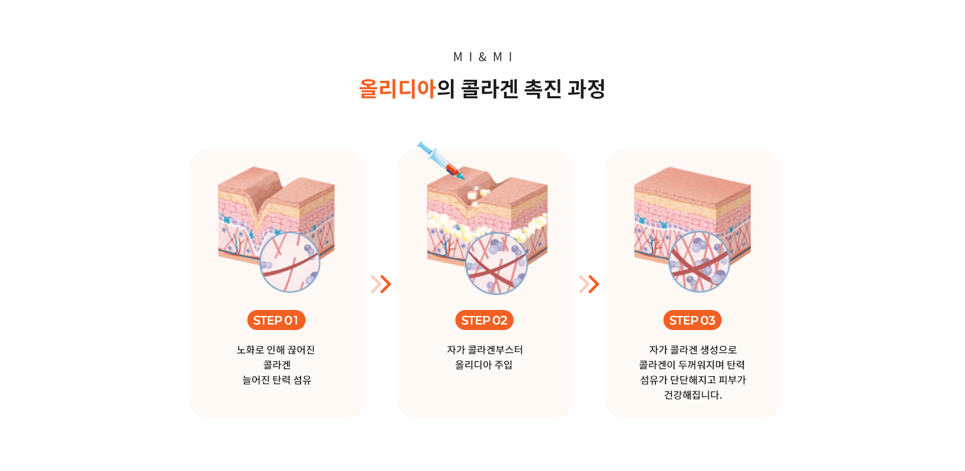 올리디아의 콜라겐 촉진 과정