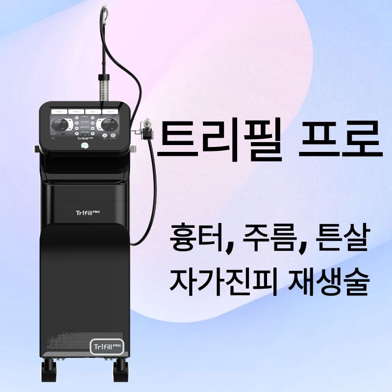 이벤트명